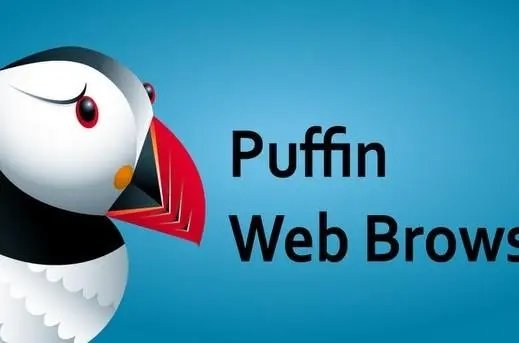 Puffin浏览器