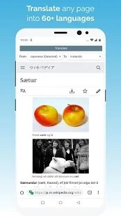 kiwi浏览器安卓2