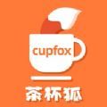 cupfox官网版游戏图标