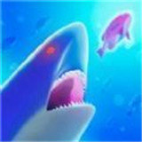 鲨鱼进化记游戏图标