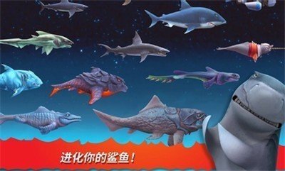 饥饿鲨进化8.8.6版本3
