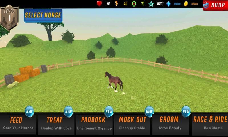 德比赛马模拟器游戏安卓版3