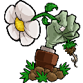 植物大战僵尸屑版游戏图标