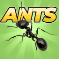 口袋蚂蚁殖民地模拟器游戏图标