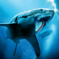 海鲨模拟器游戏图标